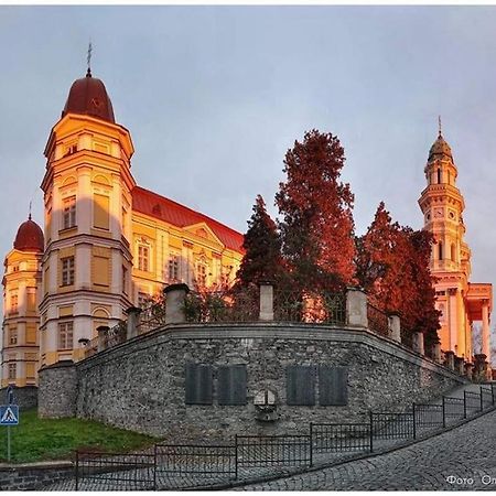 Старовинні Апартаменти У Центрі Міста Ujgorod Dış mekan fotoğraf