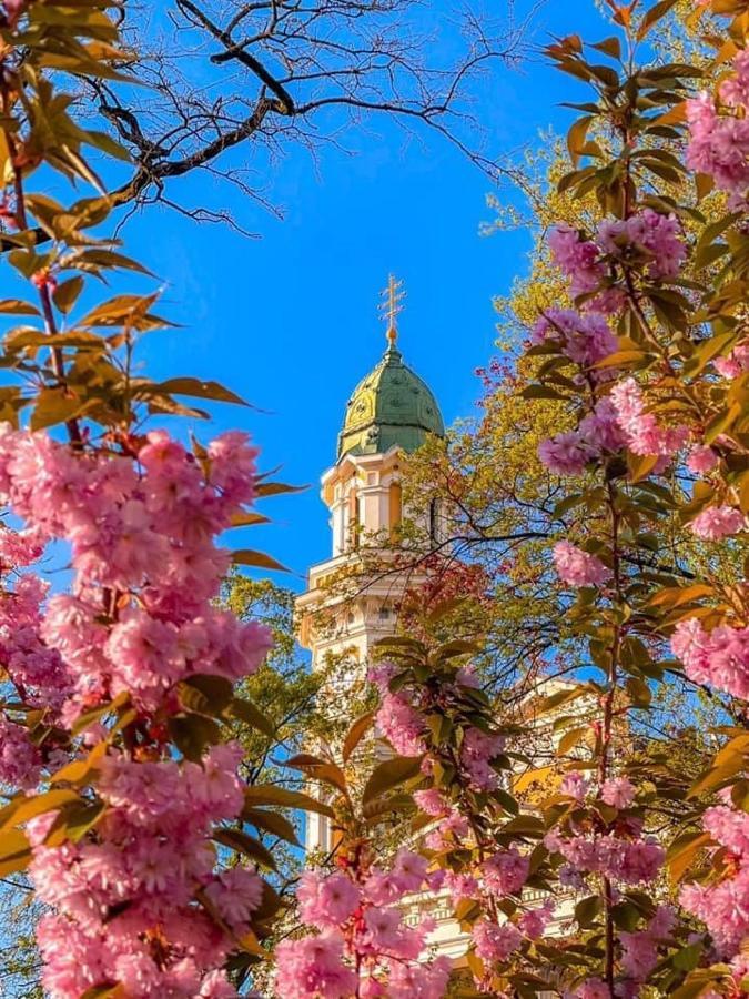 Старовинні Апартаменти У Центрі Міста Ujgorod Dış mekan fotoğraf